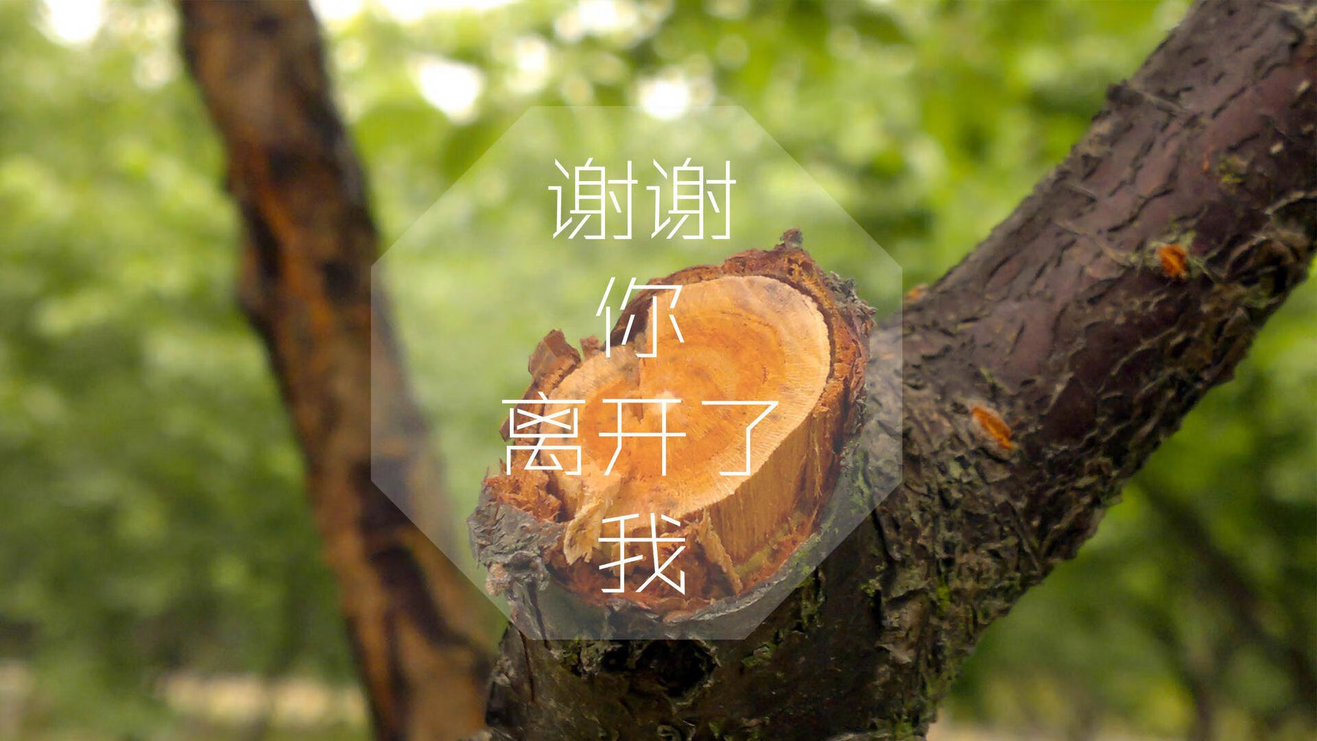 天然蜂蜜怎样保存不变质（天然蜂蜜如何保存最好）